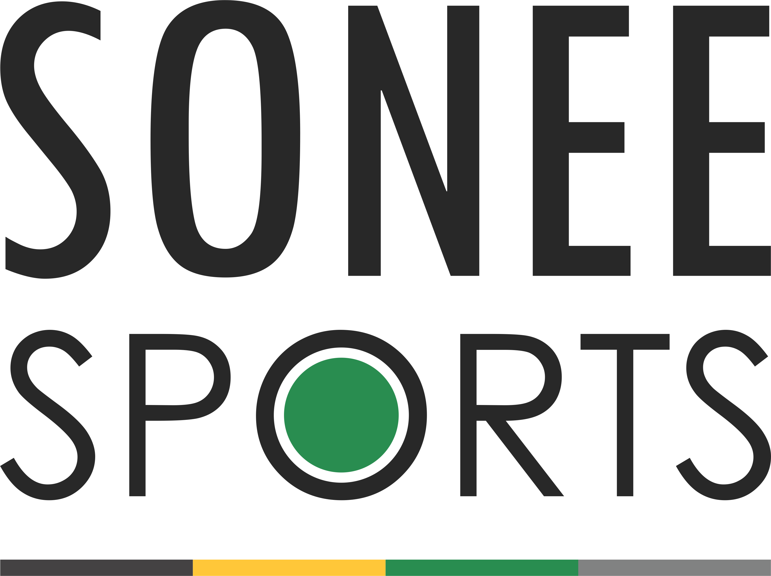 Sonee Sports Pvt Ltd logo