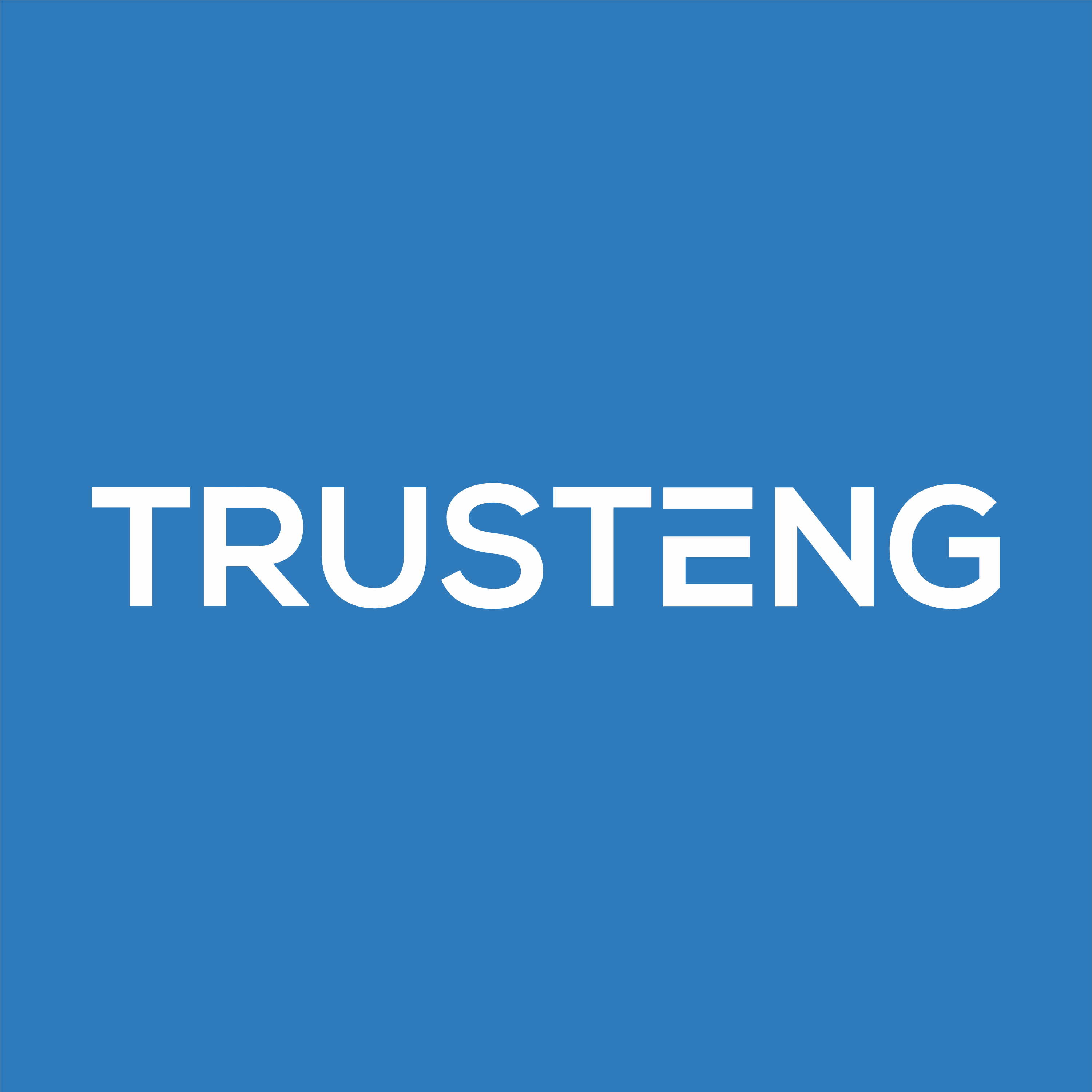 TRUSTENG MALDIVES PVT LTD logo