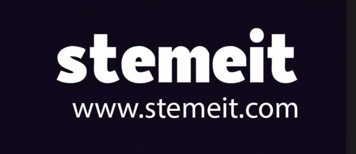 Stemeit Pvt Ltd logo