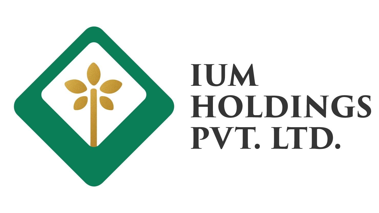 IUM Holdings Private Limited logo