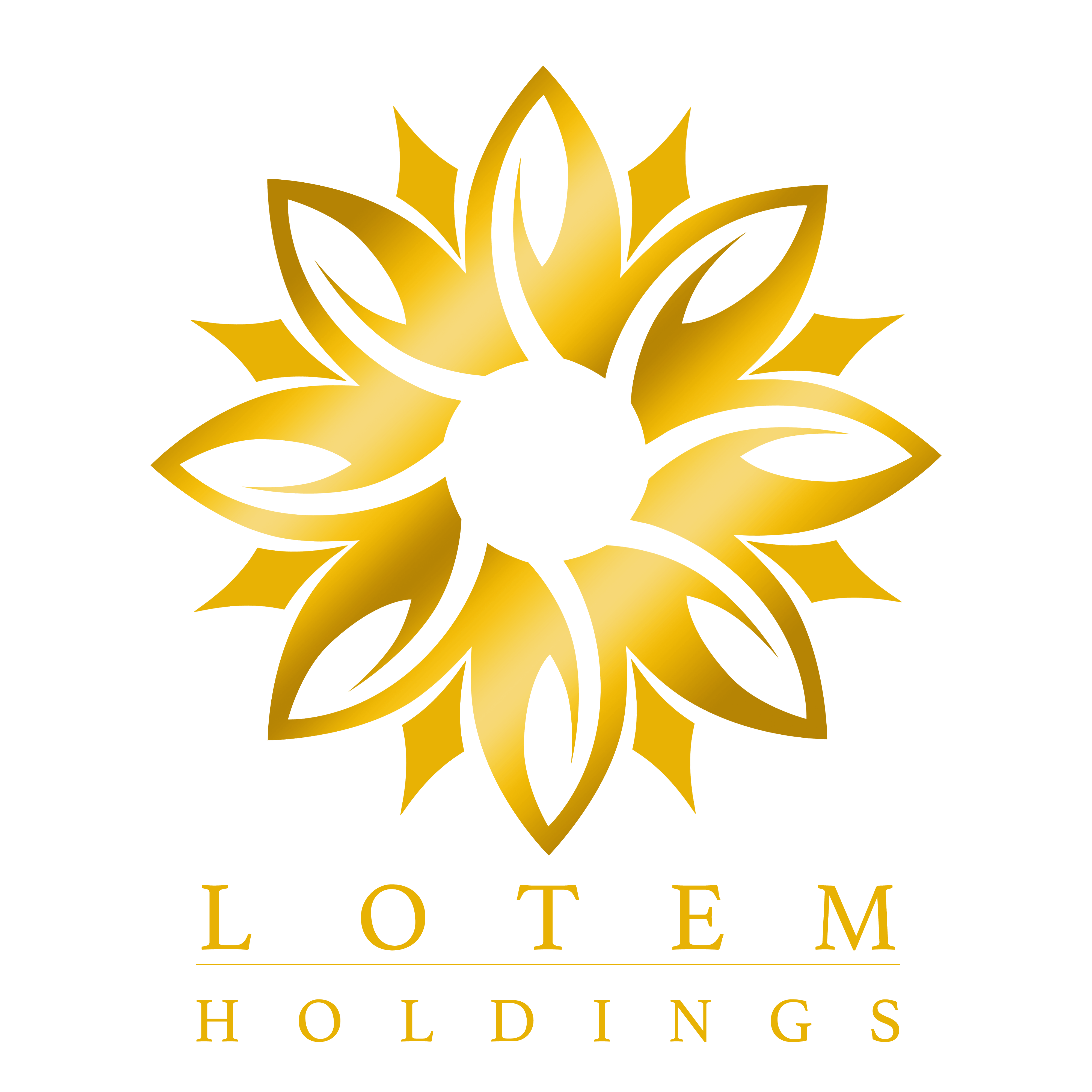 LOTEM Holdings